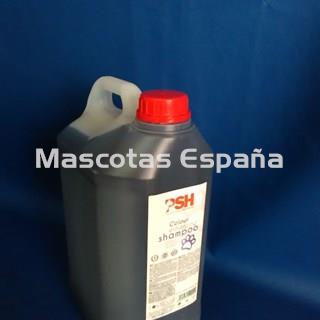 PSH Colour Enhancing Shampoo (Champú Potenciador de Color) 5L - Imagen 1